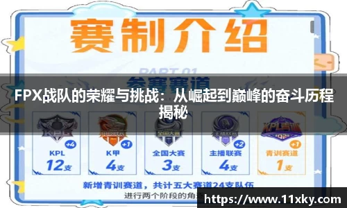 FPX战队的荣耀与挑战：从崛起到巅峰的奋斗历程揭秘