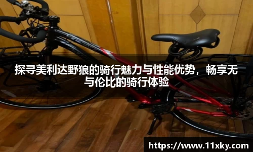 SG胜游APP